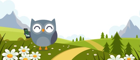 aplicatii pariuri sportive