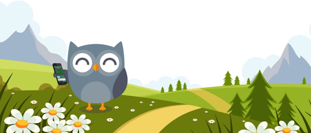 aplicatii pariuri sportive